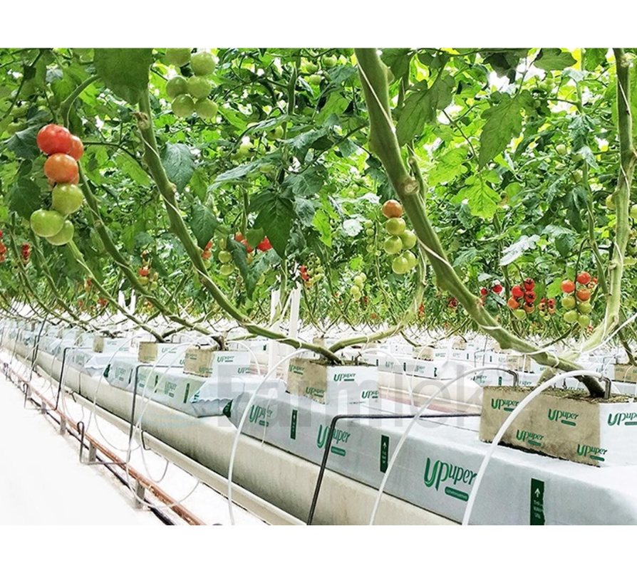 VEVOR DWC Hydroponic System